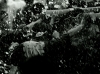 2002fm_13