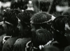 2002fm_17