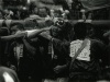 2008fm_017